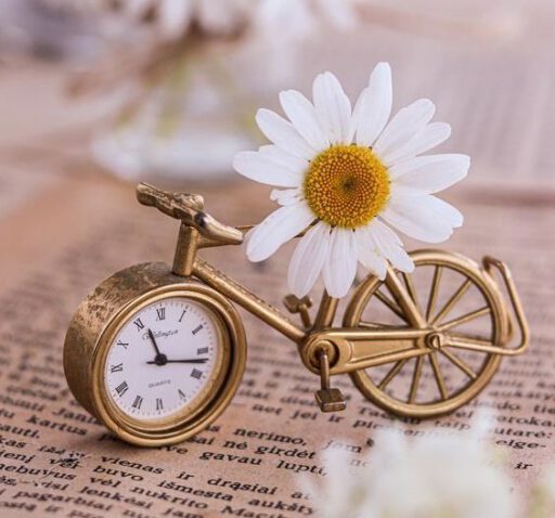 rowerek i kwiat